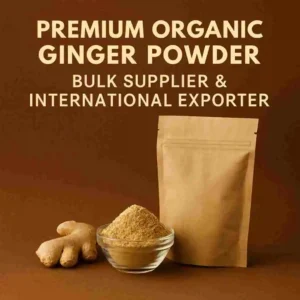 Premium Organic Ginger Powder Bulk Supplier & International Exporter